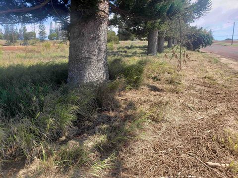 Tiny photo for Puumalu St #Lot 439, Maunaloa, HI 96770 (MLS # 407330)