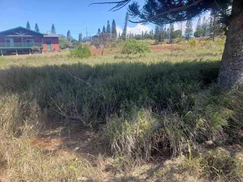 Tiny photo for Puumalu St #Lot 439, Maunaloa, HI 96770 (MLS # 407330)