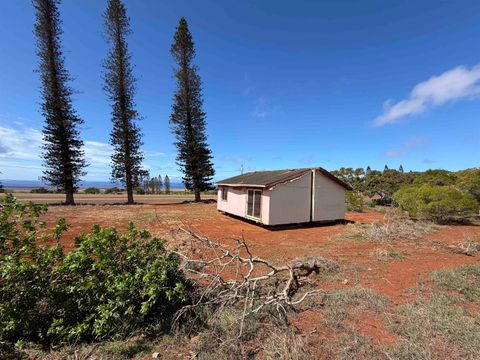 Tiny photo for Puumalu St #Lot 439, Maunaloa, HI 96770 (MLS # 407330)