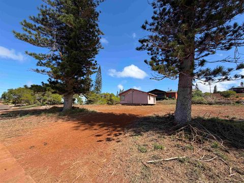 Tiny photo for Puumalu St #Lot 439, Maunaloa, HI 96770 (MLS # 407330)