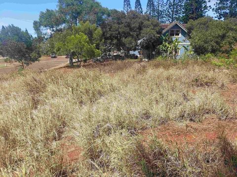 Tiny photo for Puumalu St #Lot 439, Maunaloa, HI 96770 (MLS # 407330)