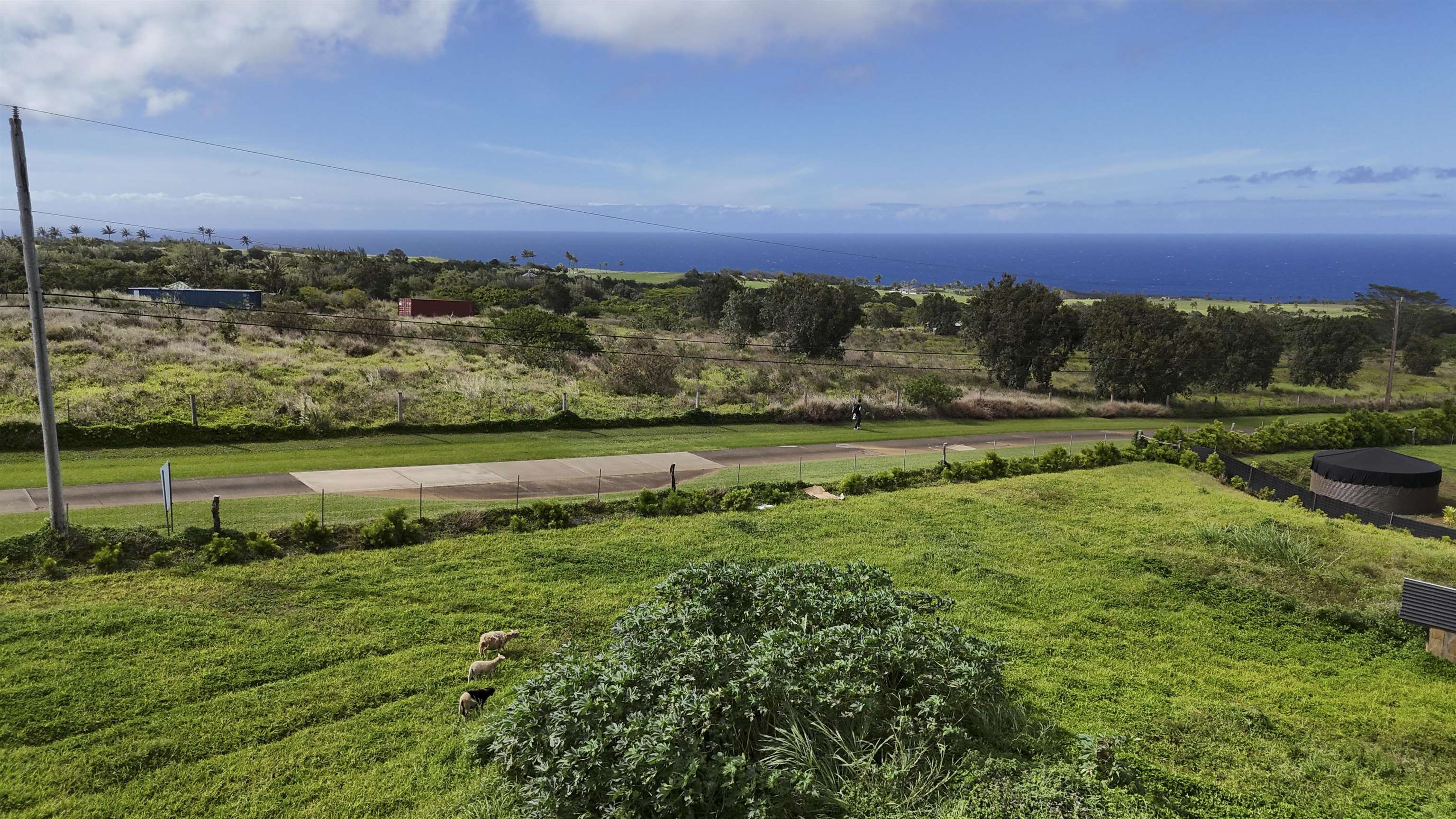 111 Mehana Rd Unit A