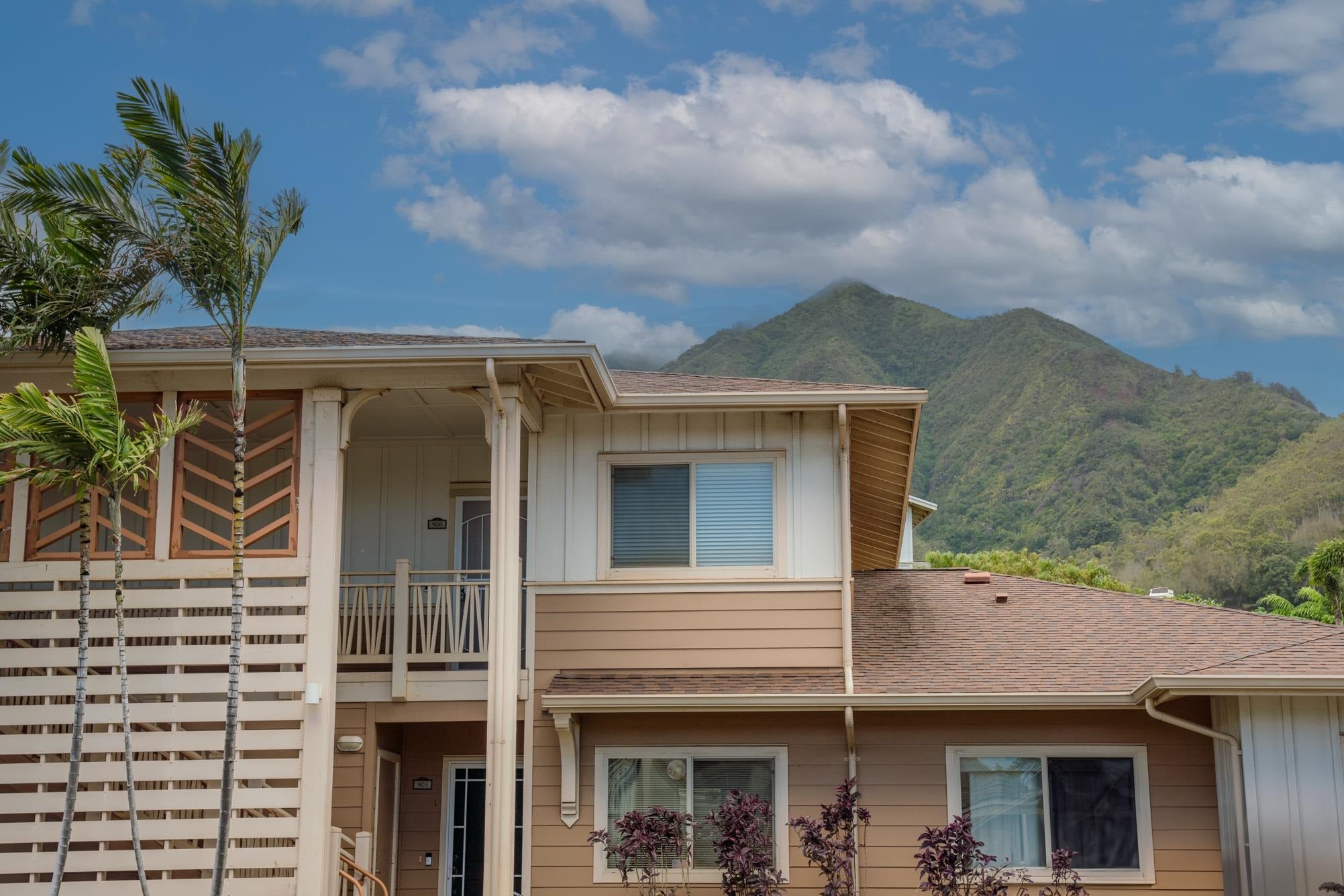119 Hoowaiwai Loop 906