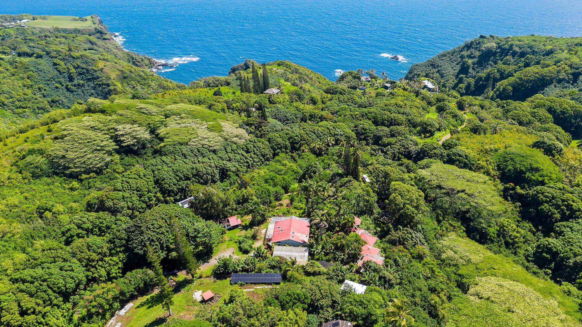 7953 Hana Hwy