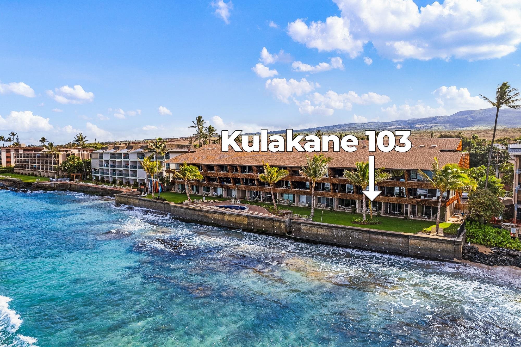 3741 Lower Honoapiilani Rd 103