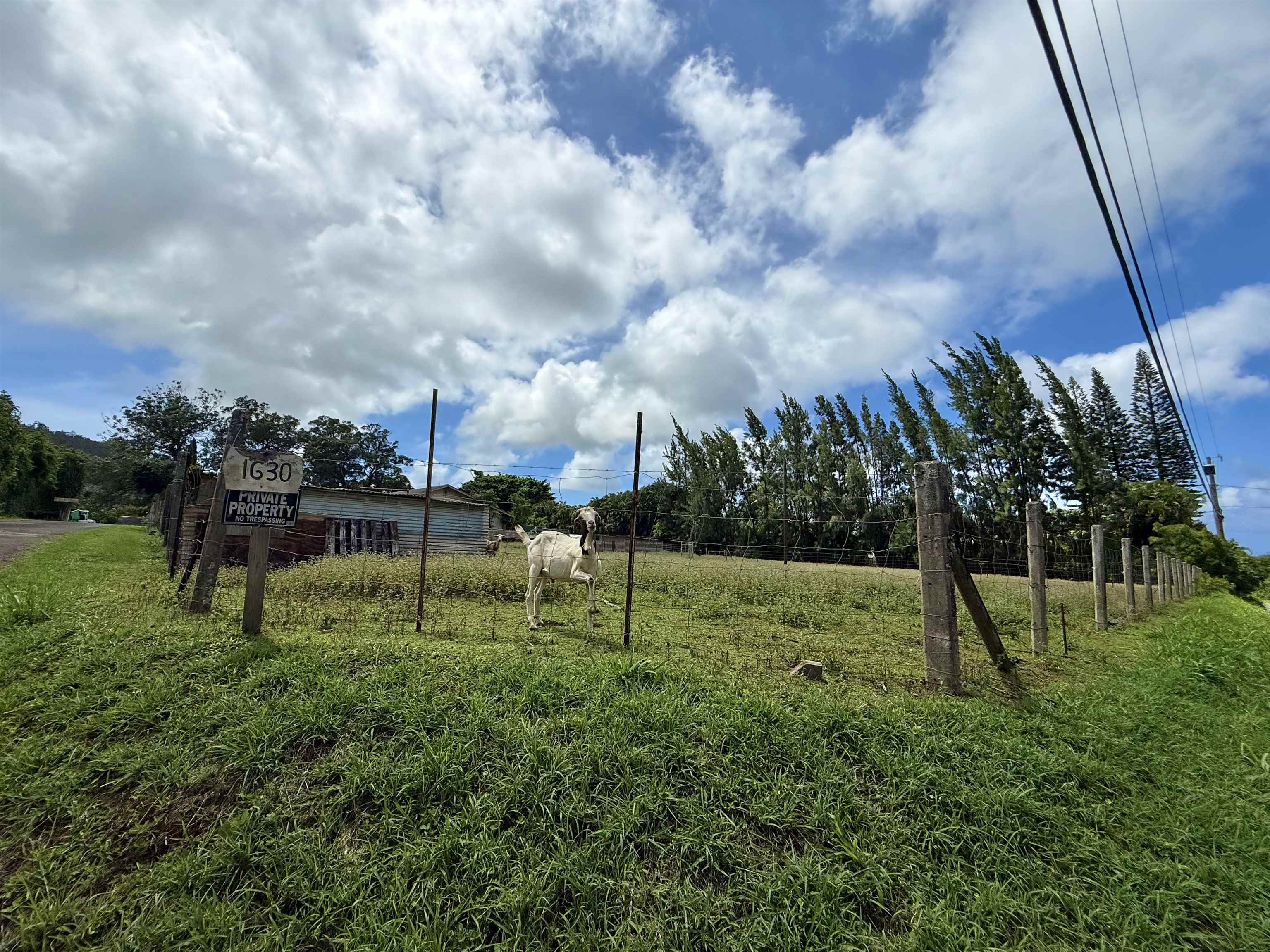 1630 Kauhikoa Rd