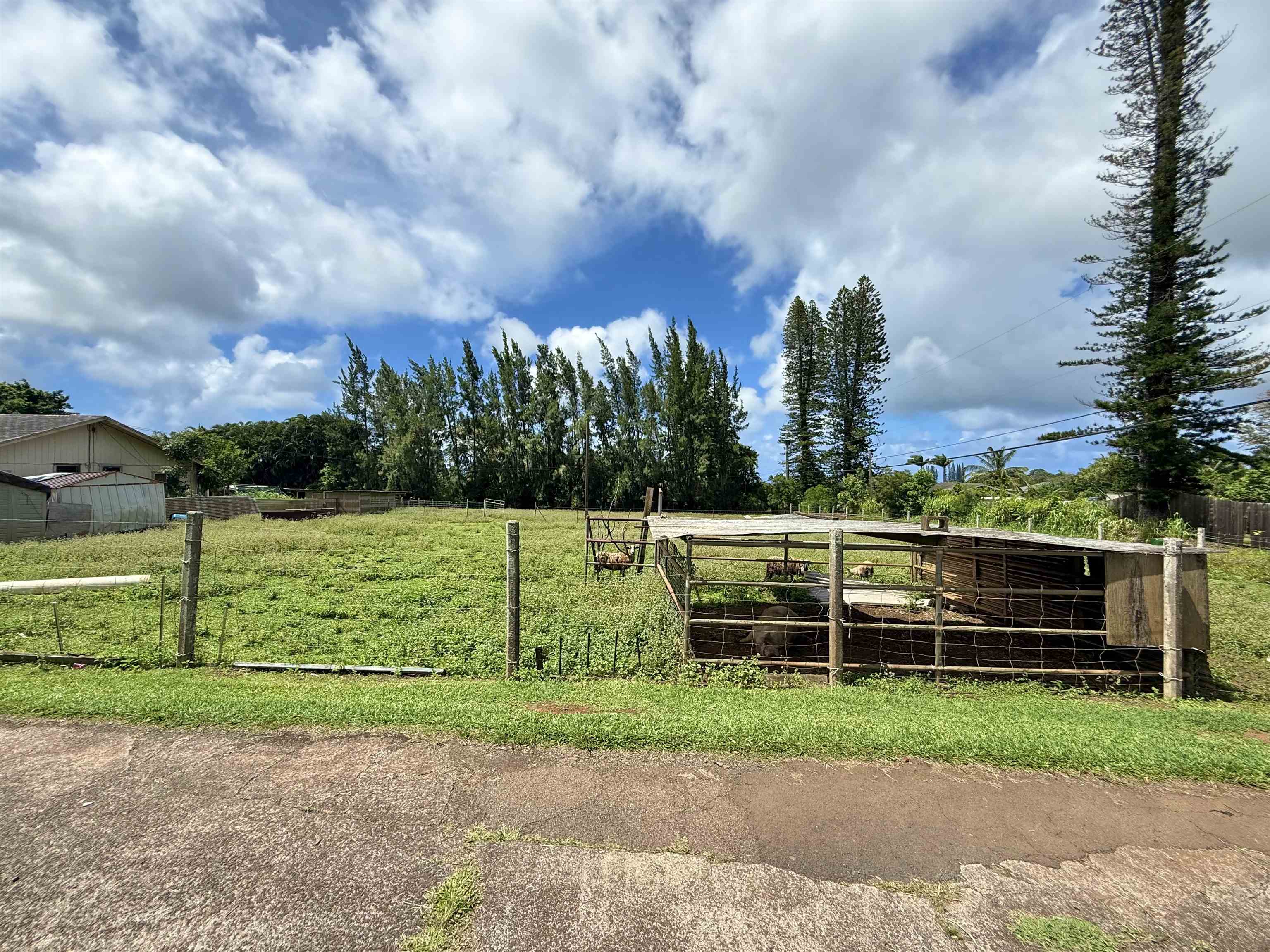 1630 Kauhikoa Rd
