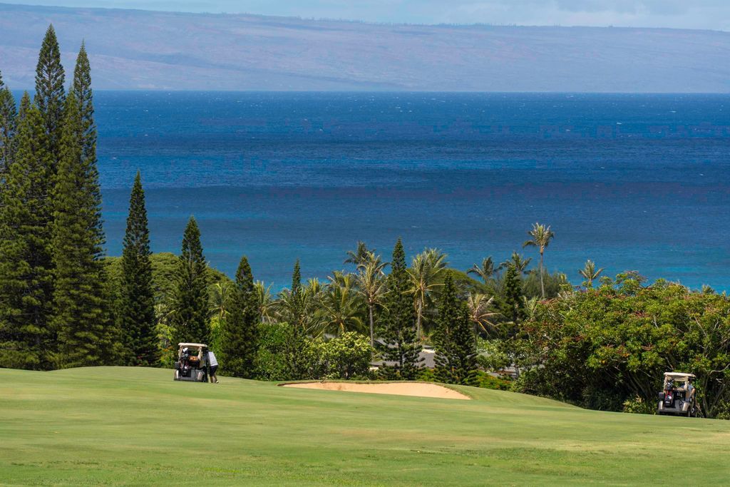 Photo of 100 Ridge Rd #2323-24, Lahaina, HI 96761 (MLS # 407836)