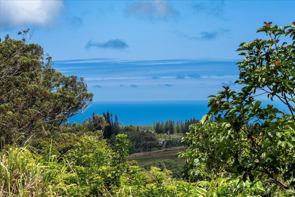 Photo of 57 Awalau Rd #B, Haiku, HI 96708 (MLS # 406846)