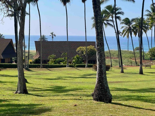255 KEPUHI PL, MAUNALOA, HI 96770 - Image be5c3f69498ce45aa27d470351e3a48a/186791663