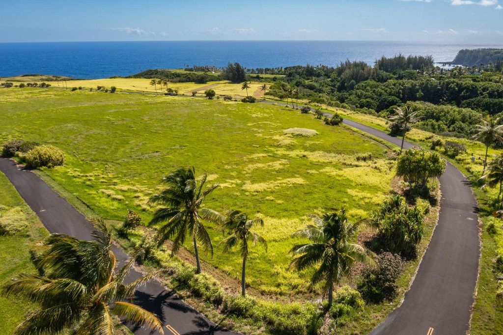 Photo of 580 Kai Huki Cir #B, Haiku, HI 96708 (MLS # 403021)