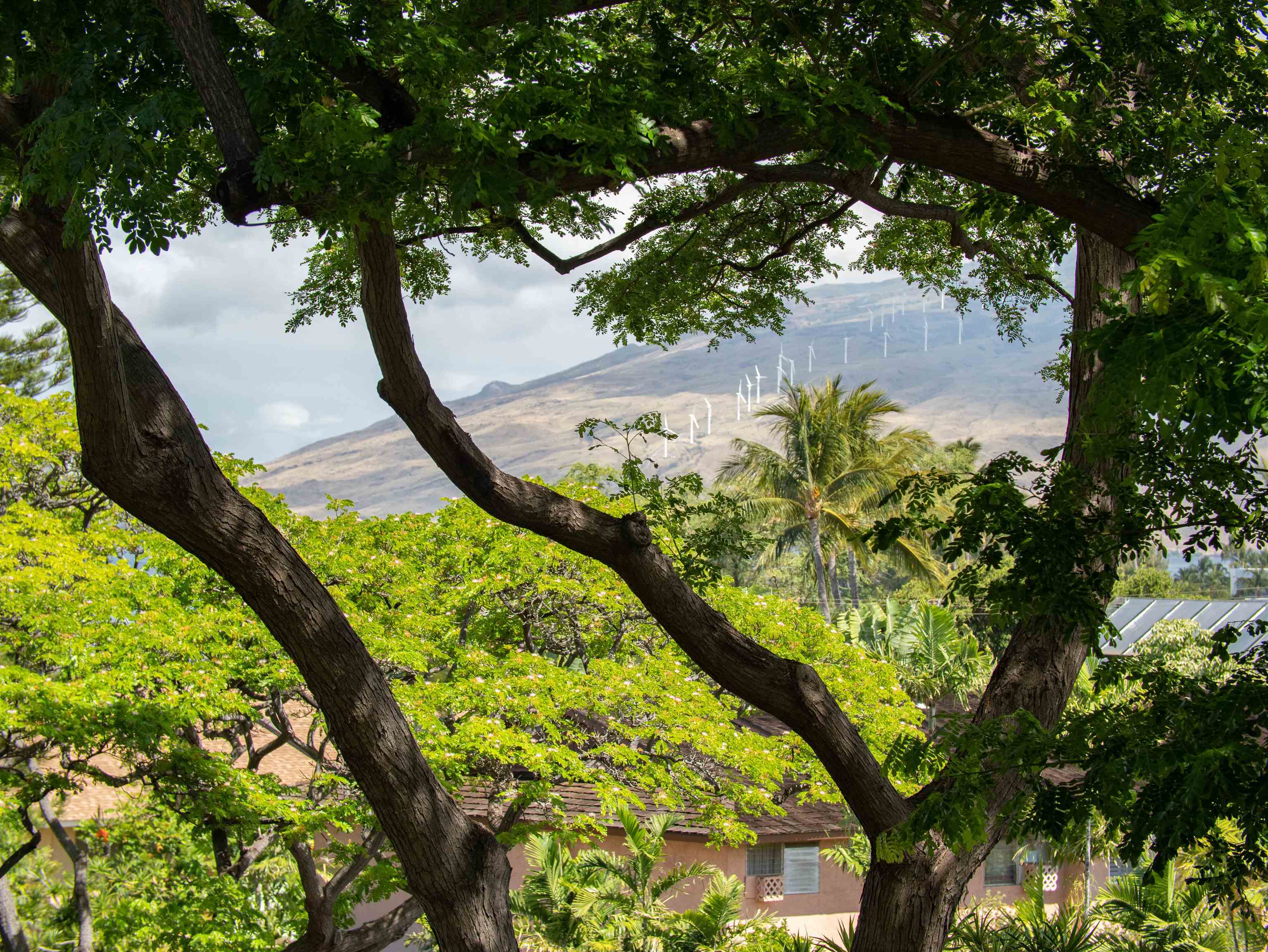 2191 S Kihei Rd 2320