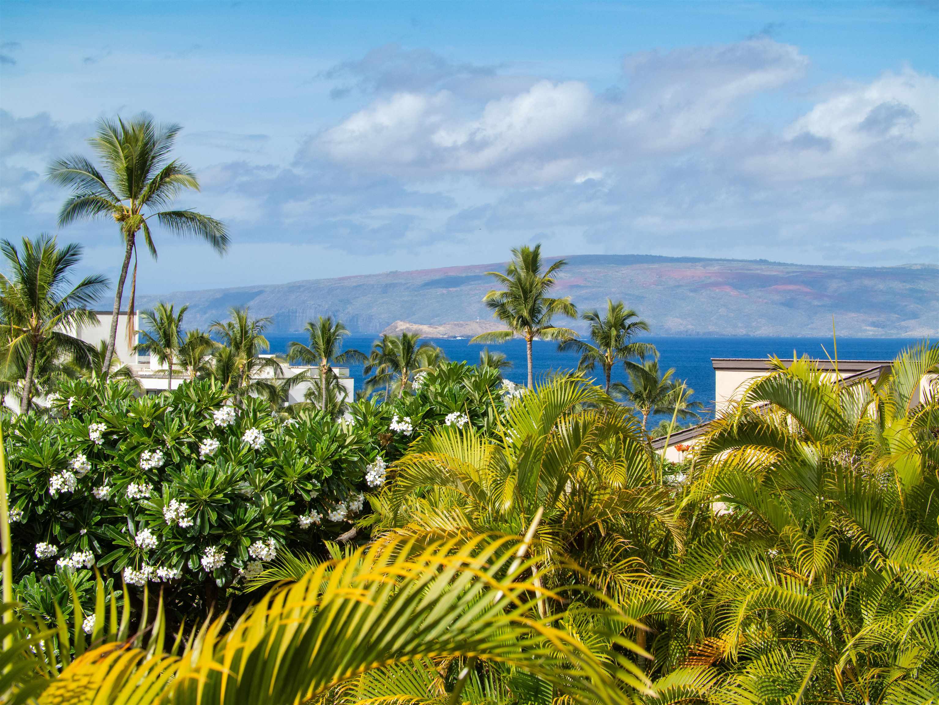 3300 Wailea Alanui Dr 40E