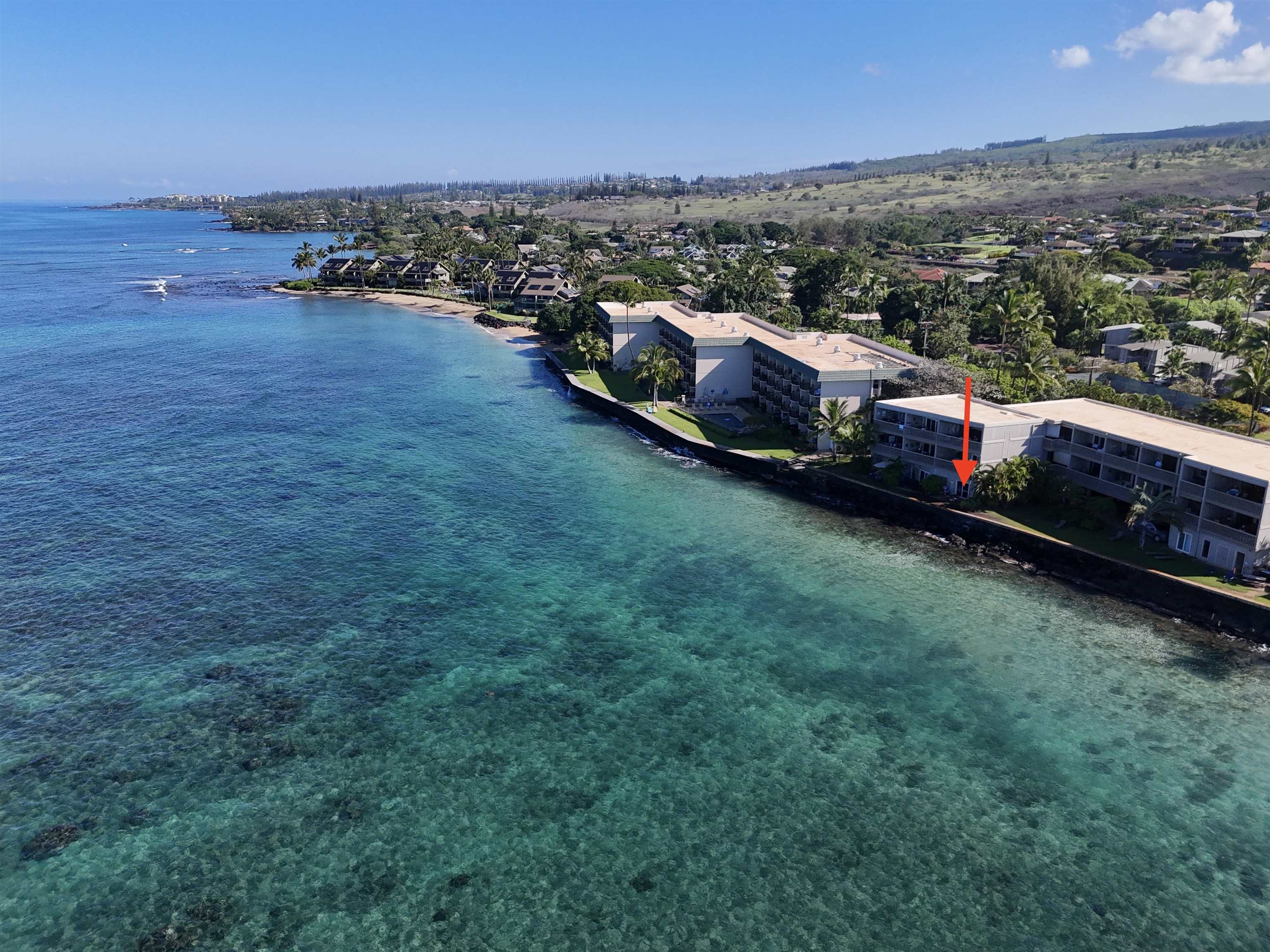 4435 Lower Honoapiilani Rd 103