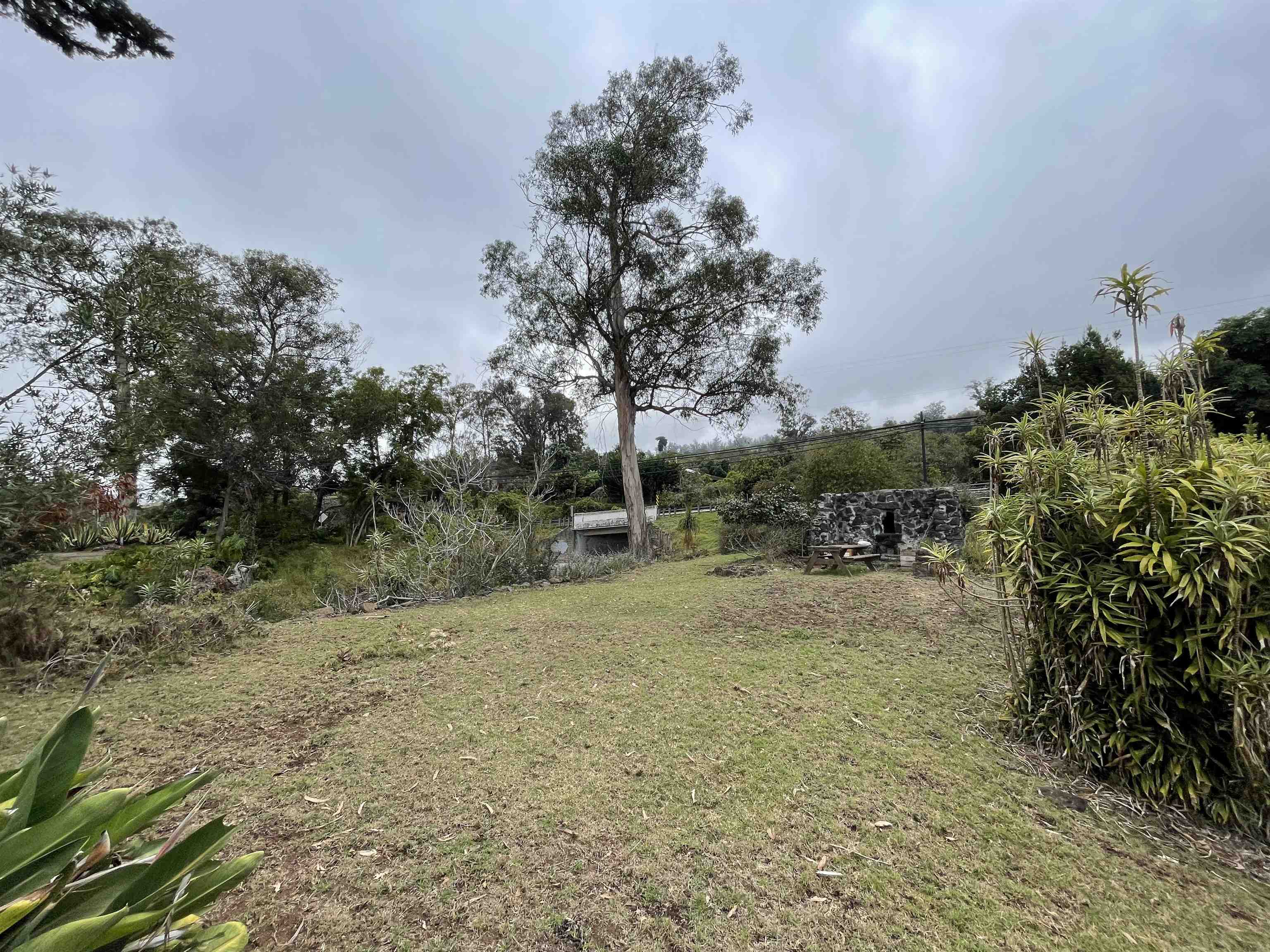 1575 Kamehameiki Rd UNIT 1