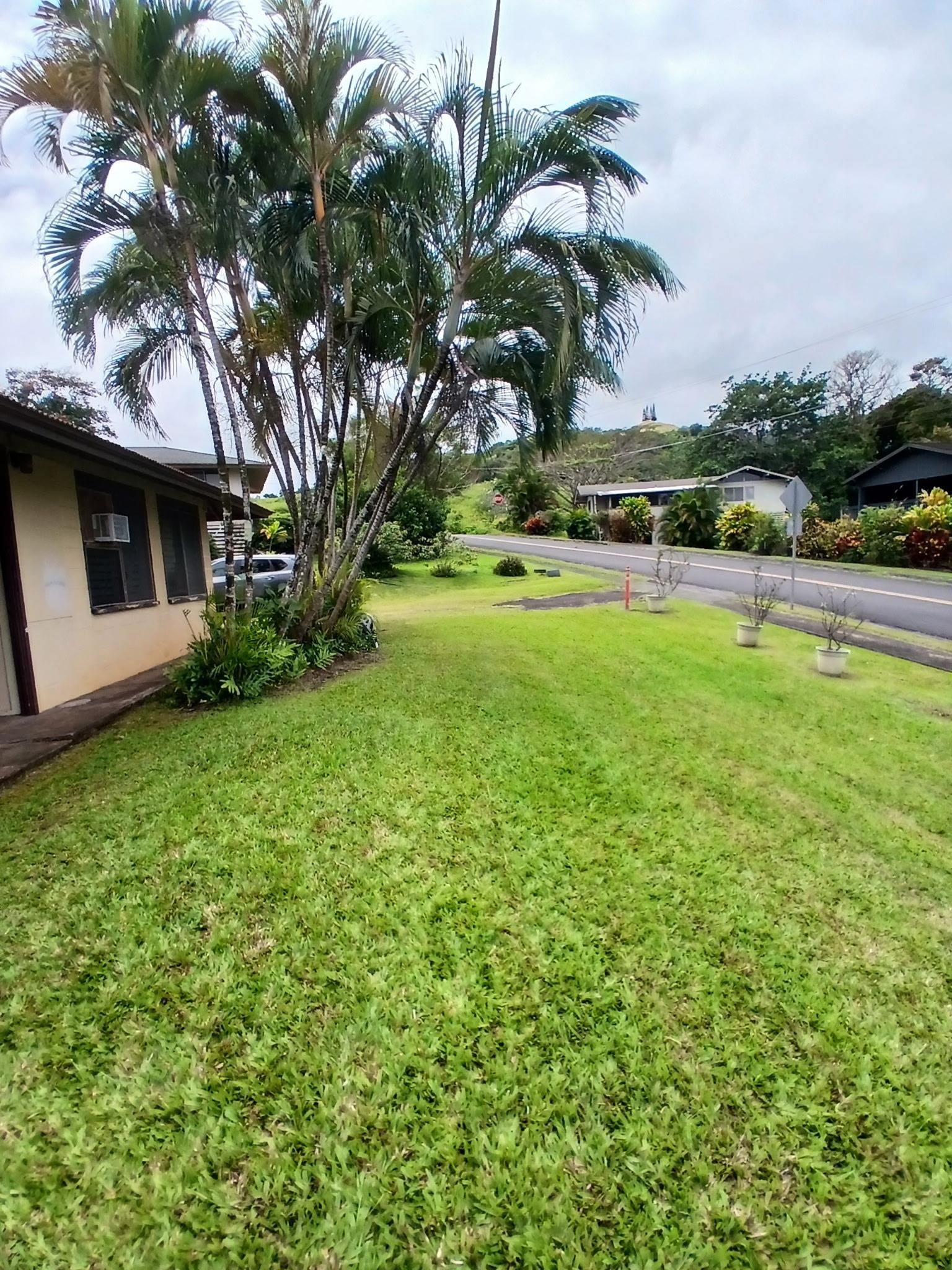 18 Kauiki St