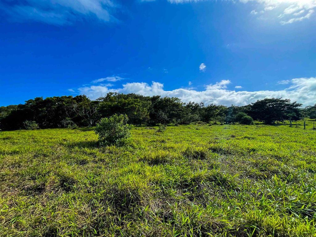 Photo of Lupi Rd, Haiku, HI 96708 (MLS # 407549)
