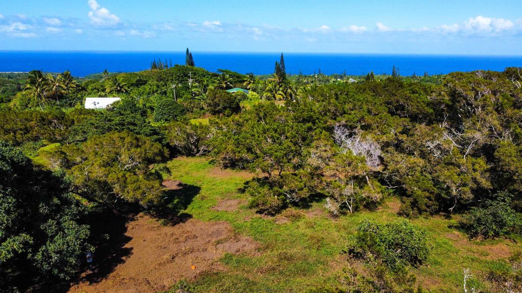 Photo of Lupi Rd, Haiku, HI 96708 (MLS # 407549)
