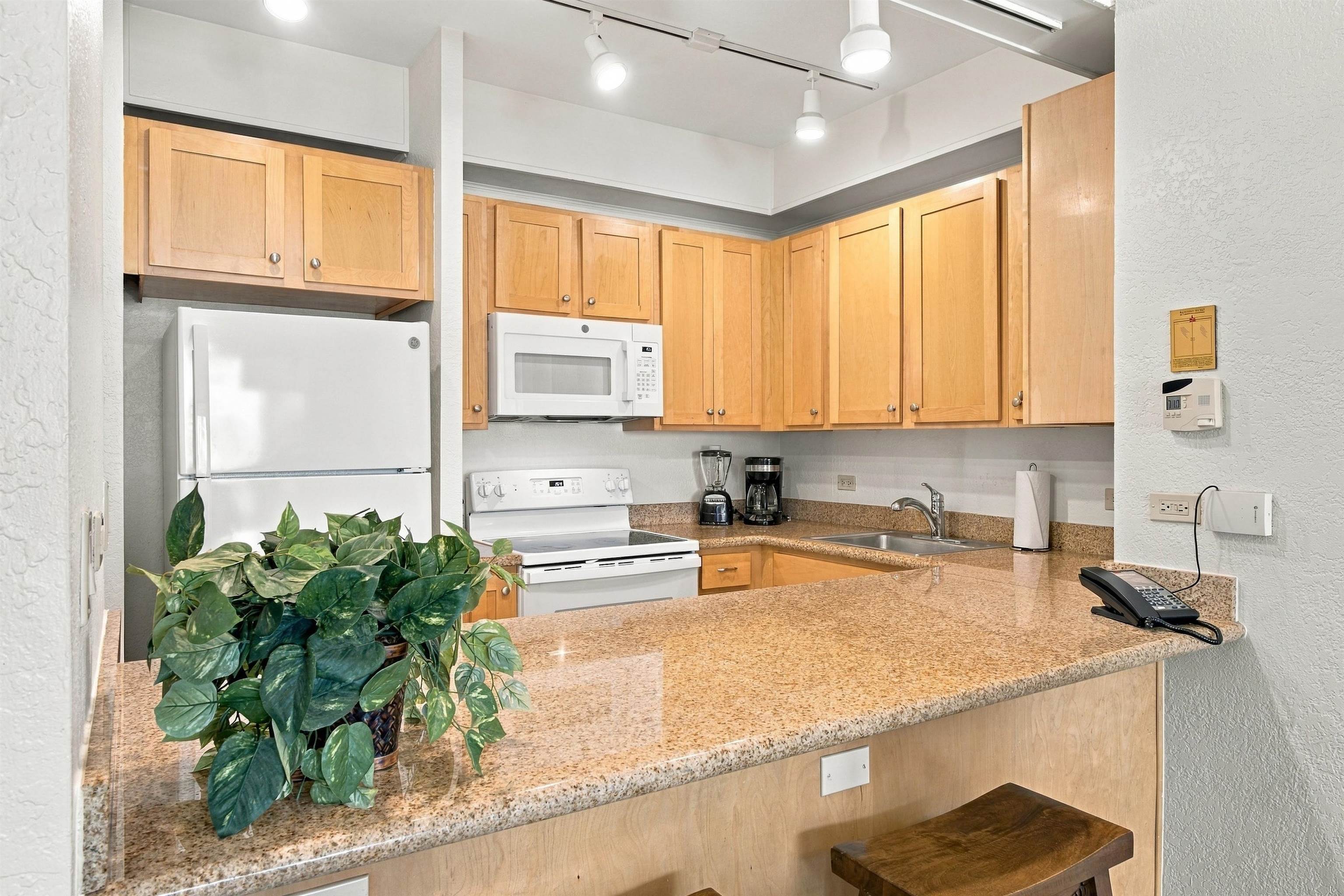 3445 Lower Honoapiilani Rd 254