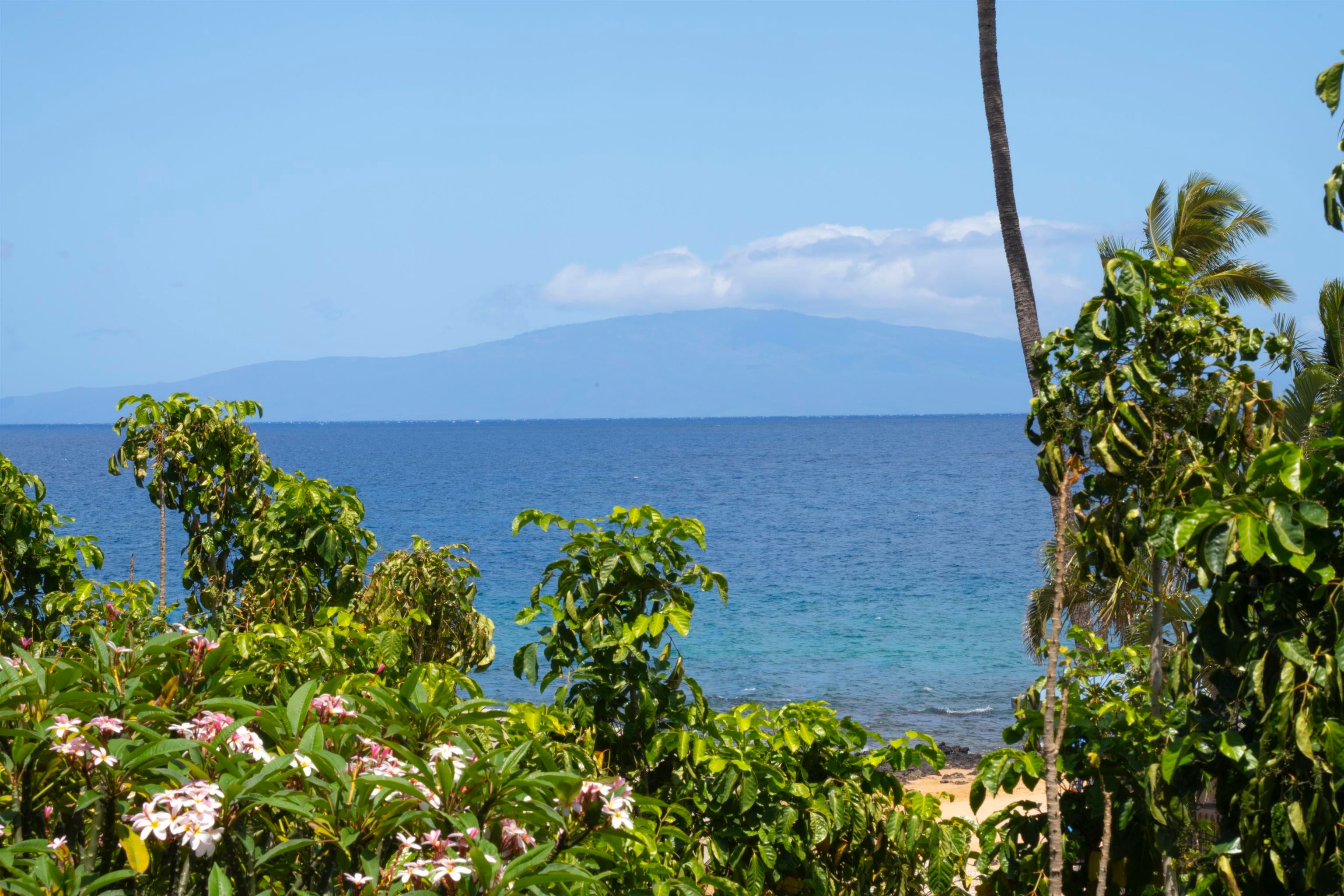 2994 S Kihei Rd 301