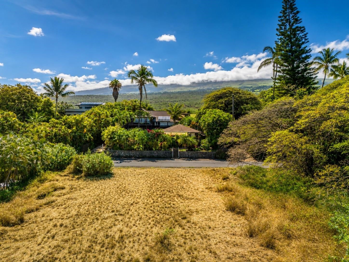 769 Kumulani Dr