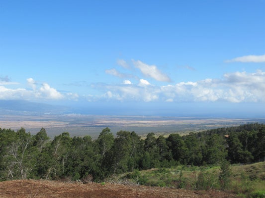 KULA HWY, KULA, HI 96790 - Image c7ca4fd6f3ab66eed9ce8562dae76c5b/3059681649