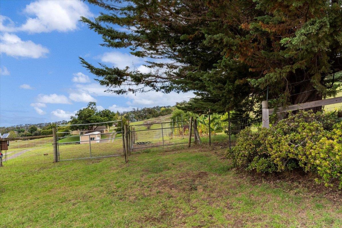 Kula, Hawaii 96790, United States, ,Land,Pending,39509