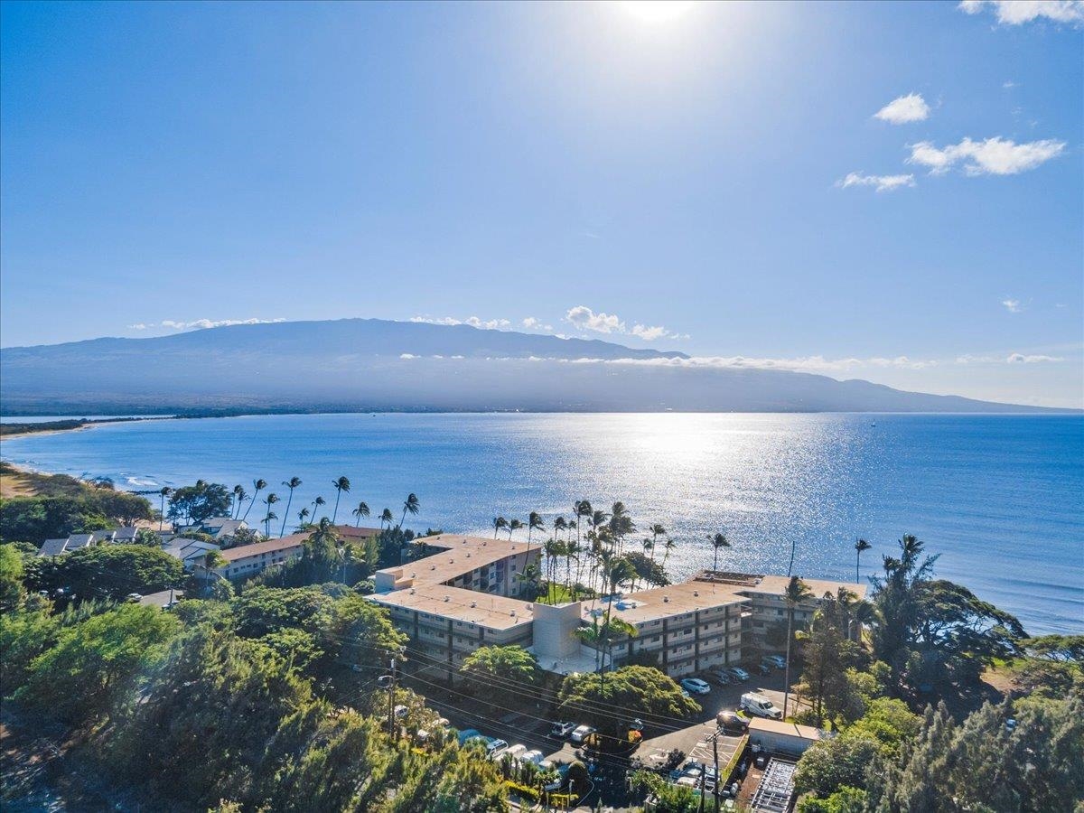 250 Hauoli St 407