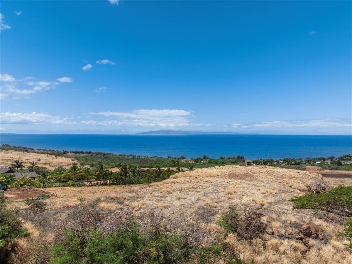 295 Luawai St 12A
