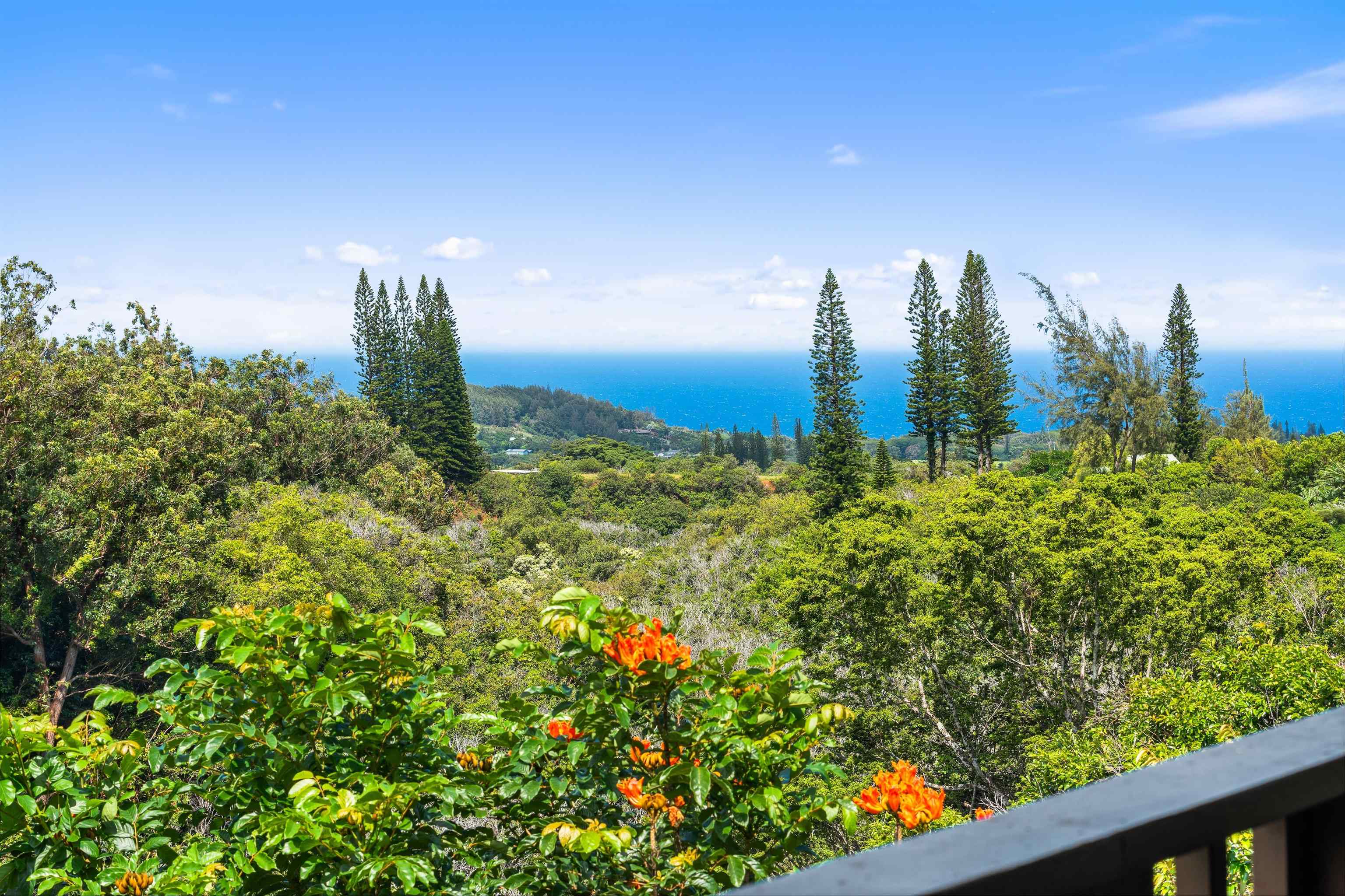 1330 Kauhikoa Rd