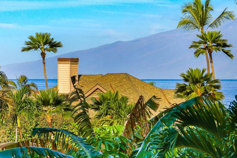 3445 Lower Honoapiilani Rd 337 Lahaina HI 96761