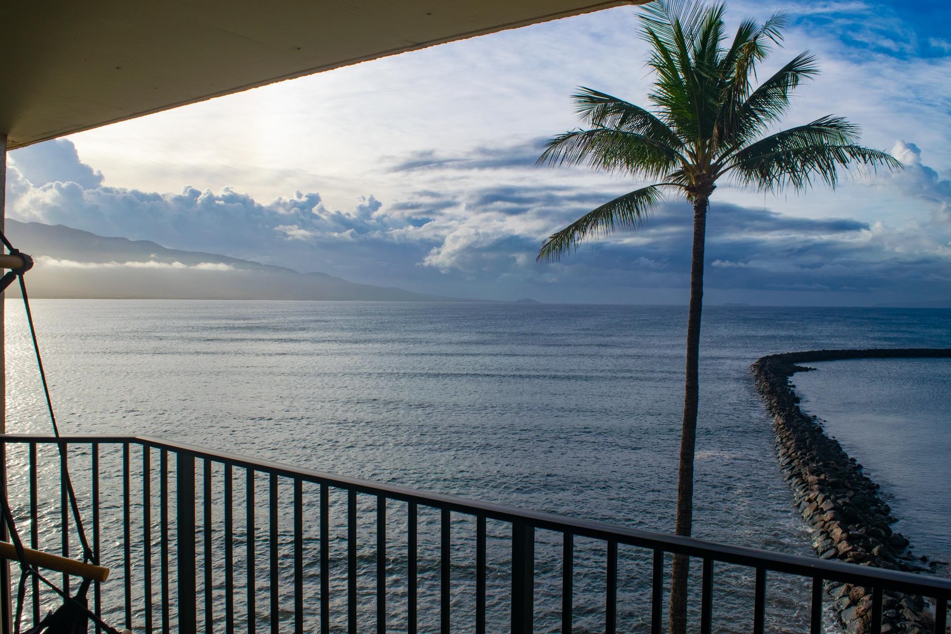 50 Hauoli St 409