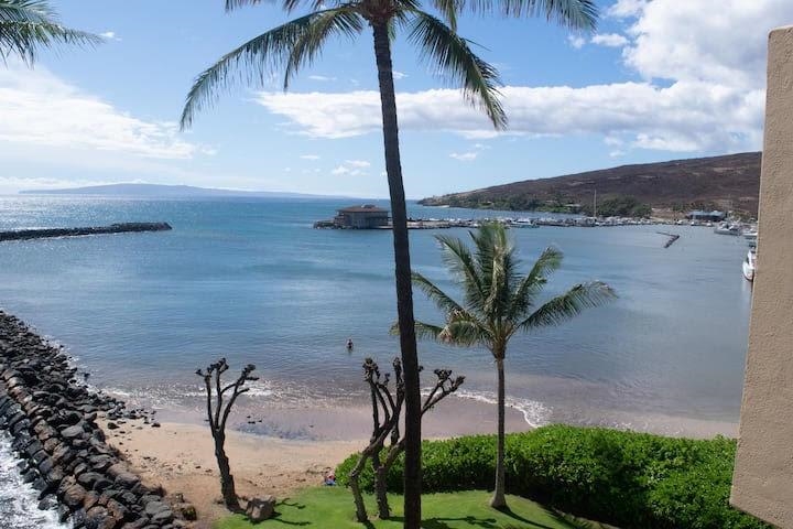 50 Hauoli St 409