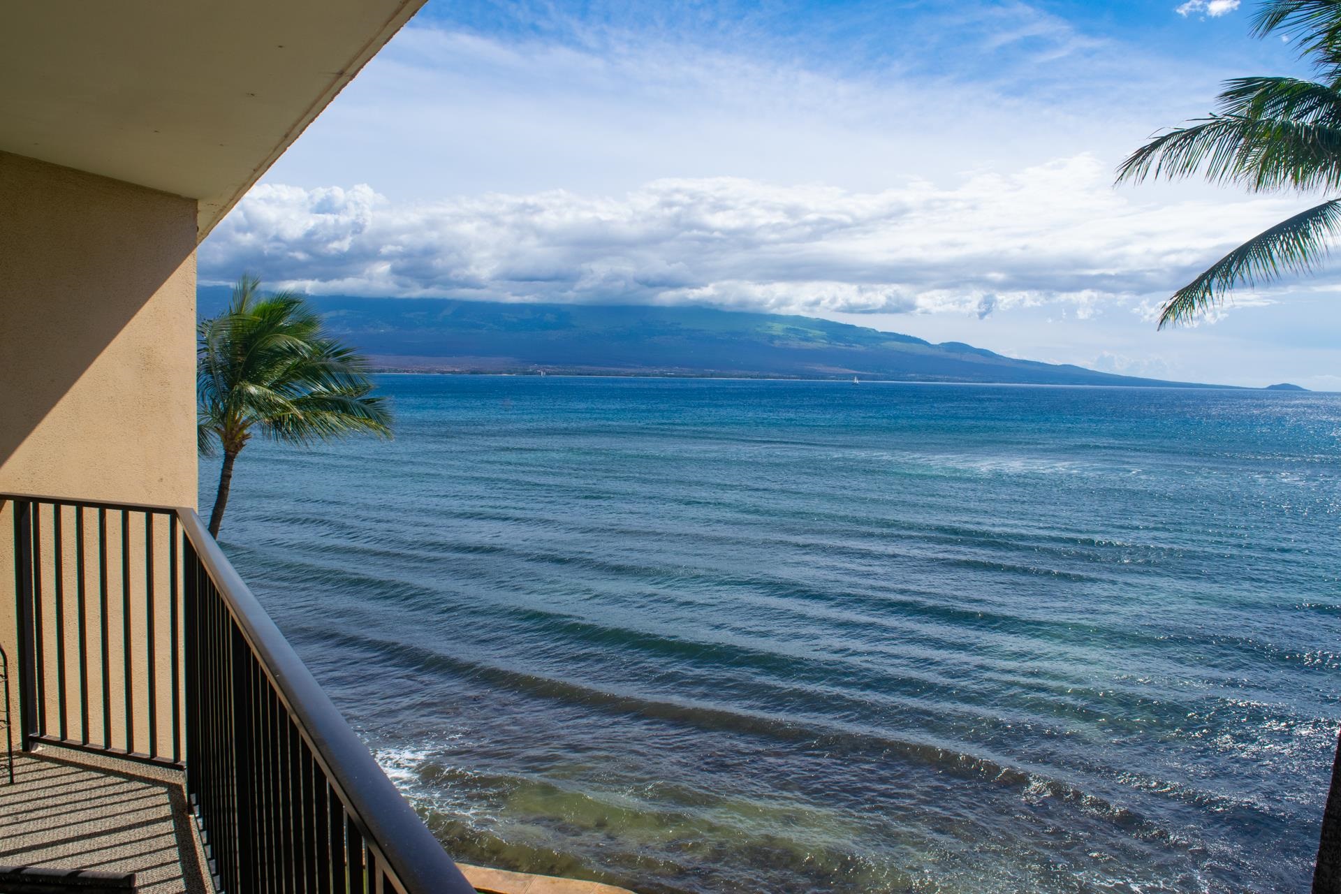 50 Hauoli St 409