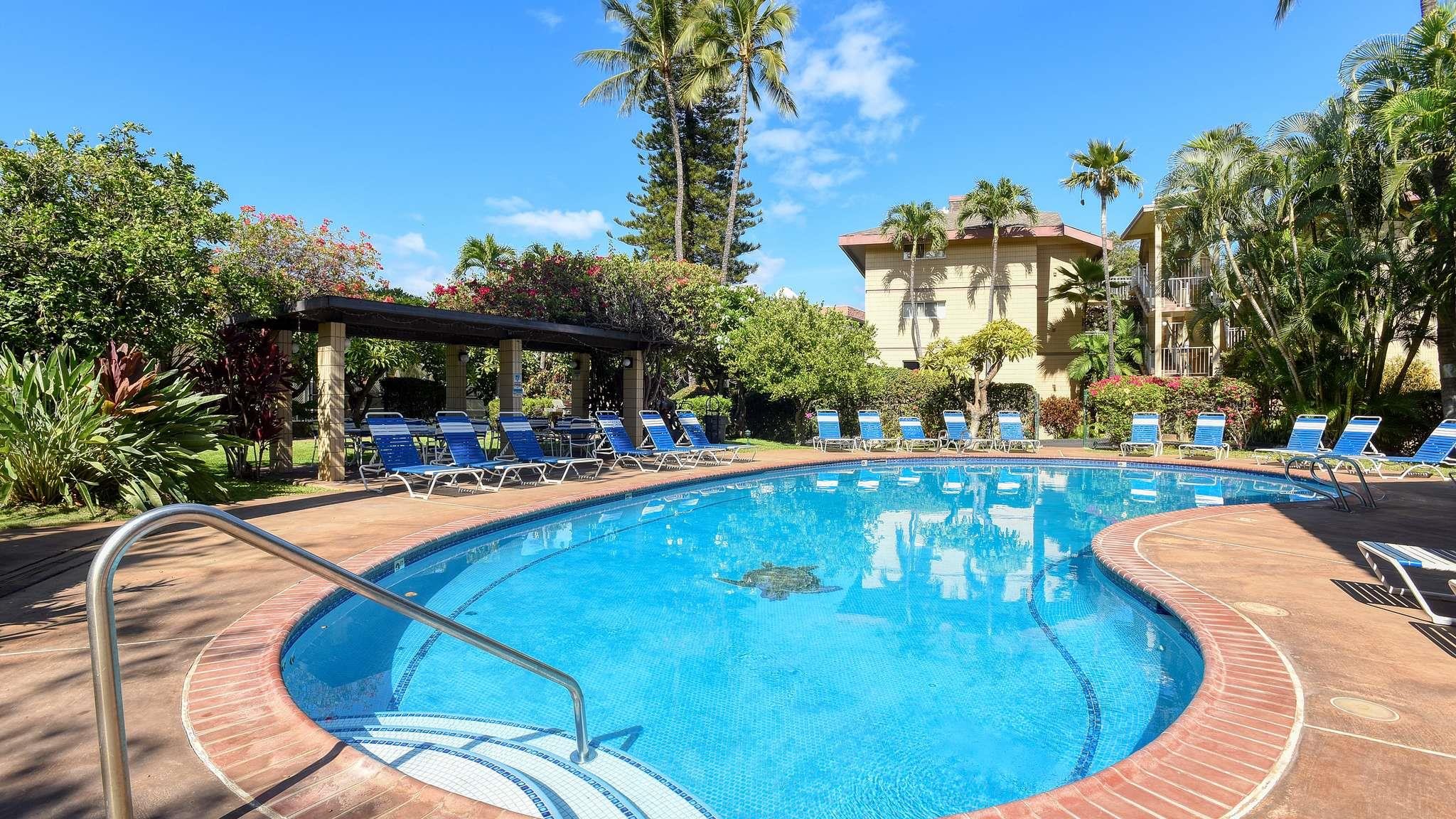 2619 S Kihei Rd 309A