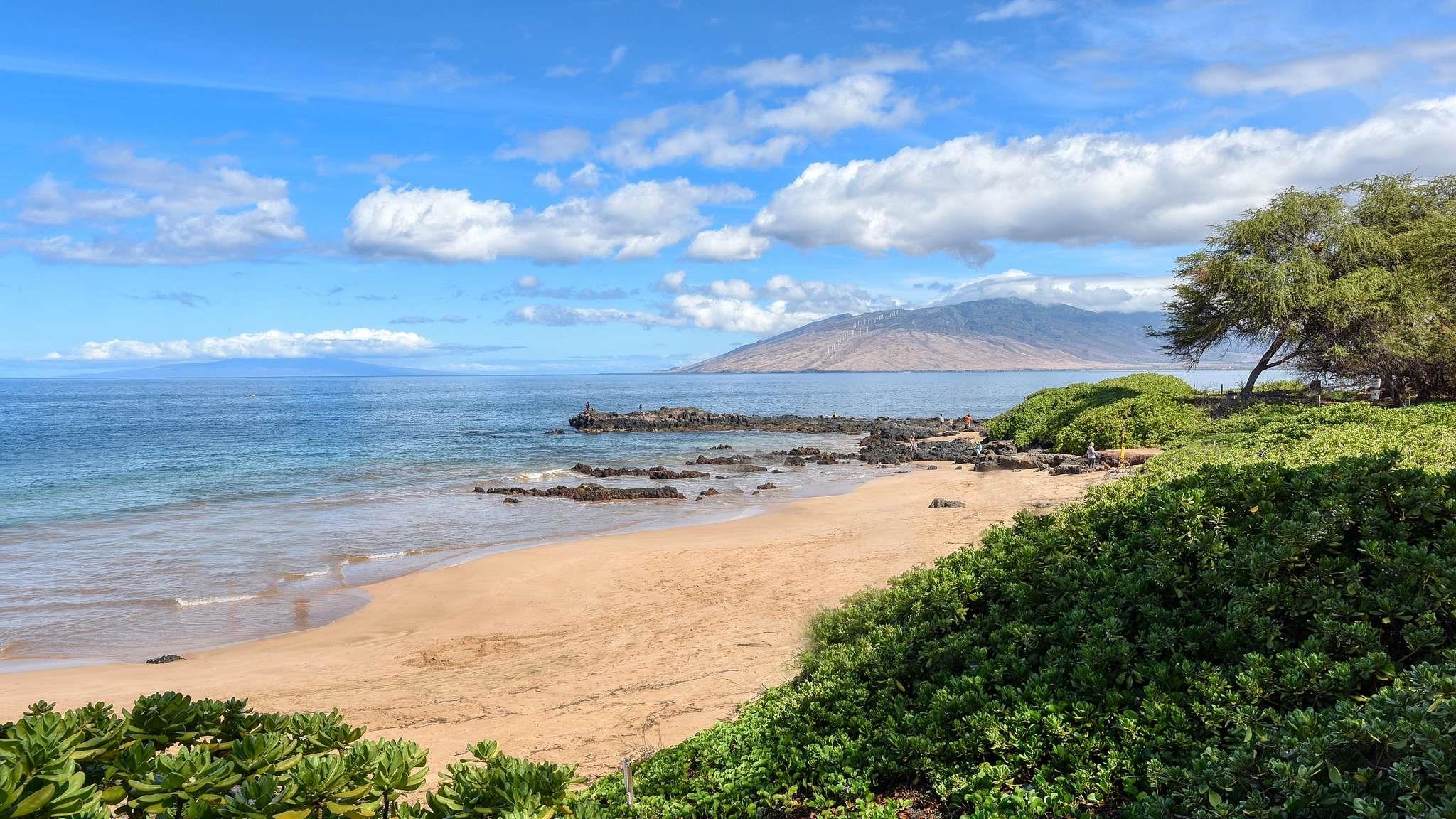 2619 S Kihei Rd 309A