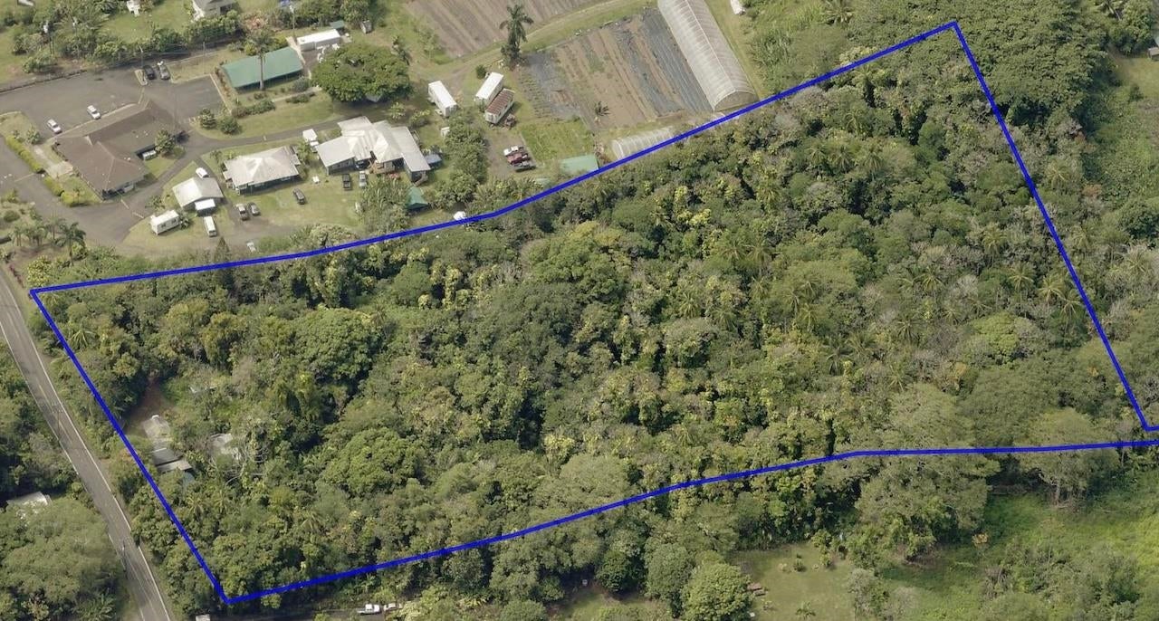 4550 Hana Hwy