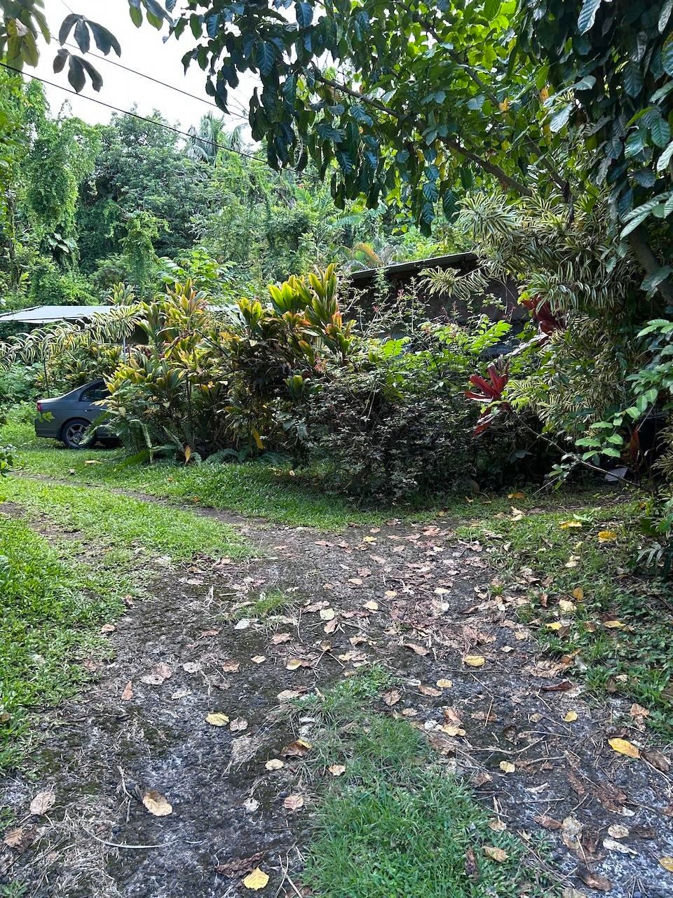 4550 Hana Hwy