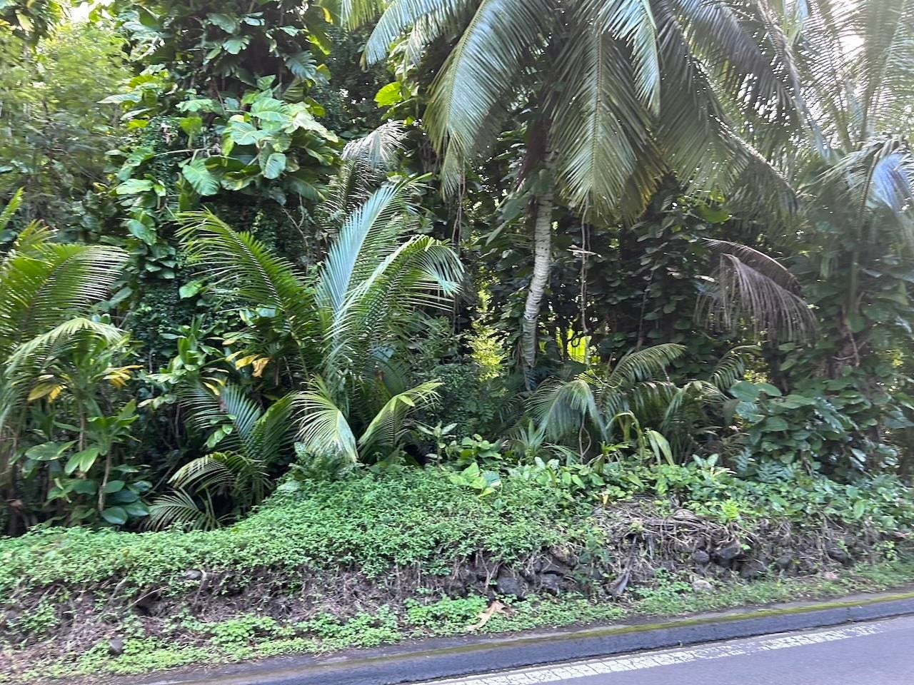 4550 Hana Hwy