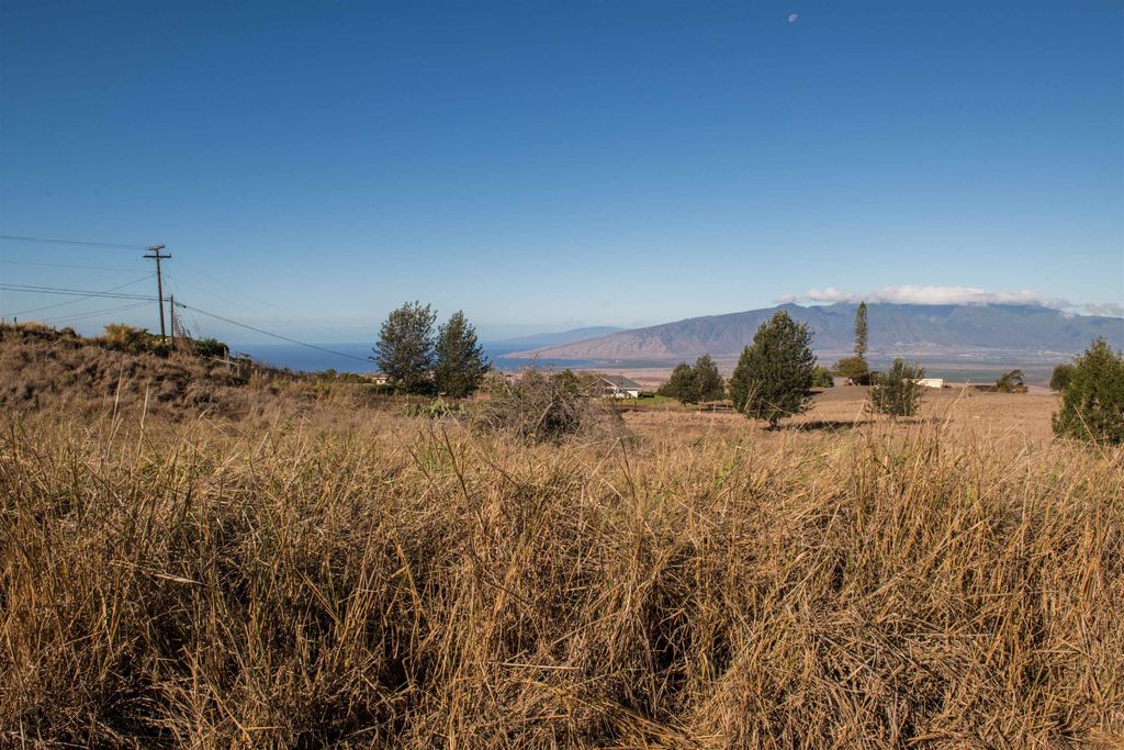 Photo of 0 Naele Rd, Kula, HI 96790 (MLS # 408110)