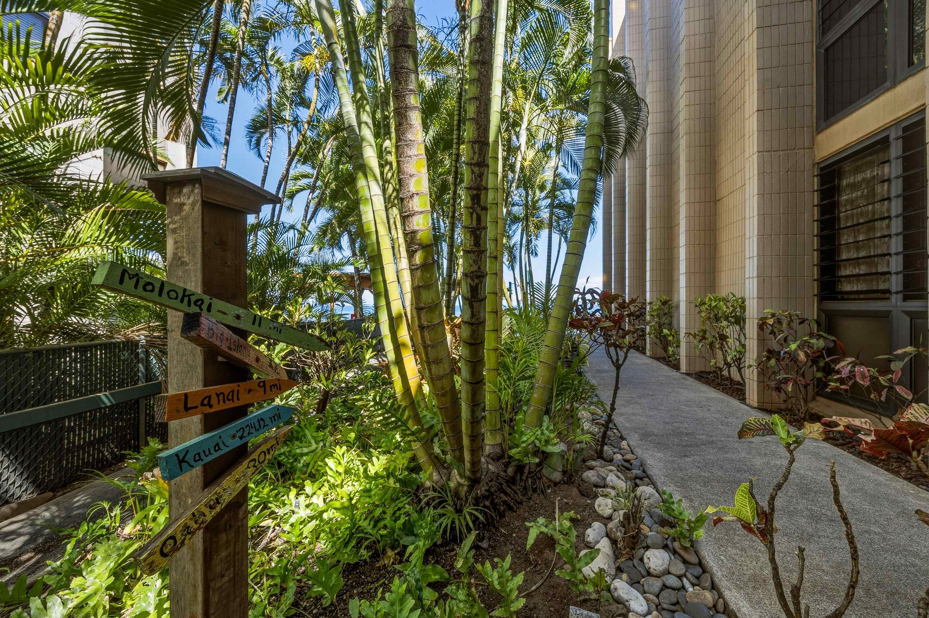 3785 Lower Honoapiilani Rd 104