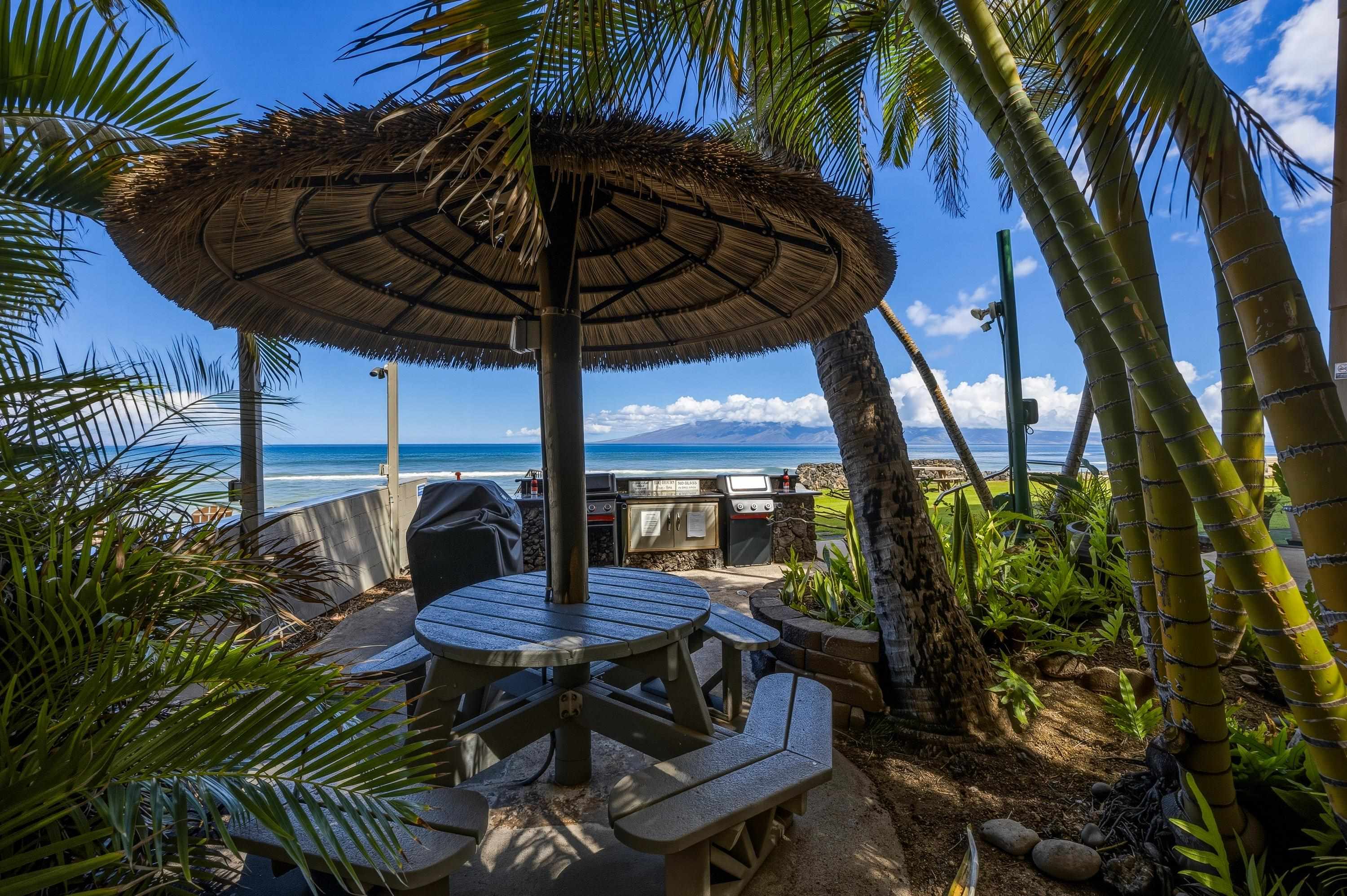 3785 Lower Honoapiilani Rd 104