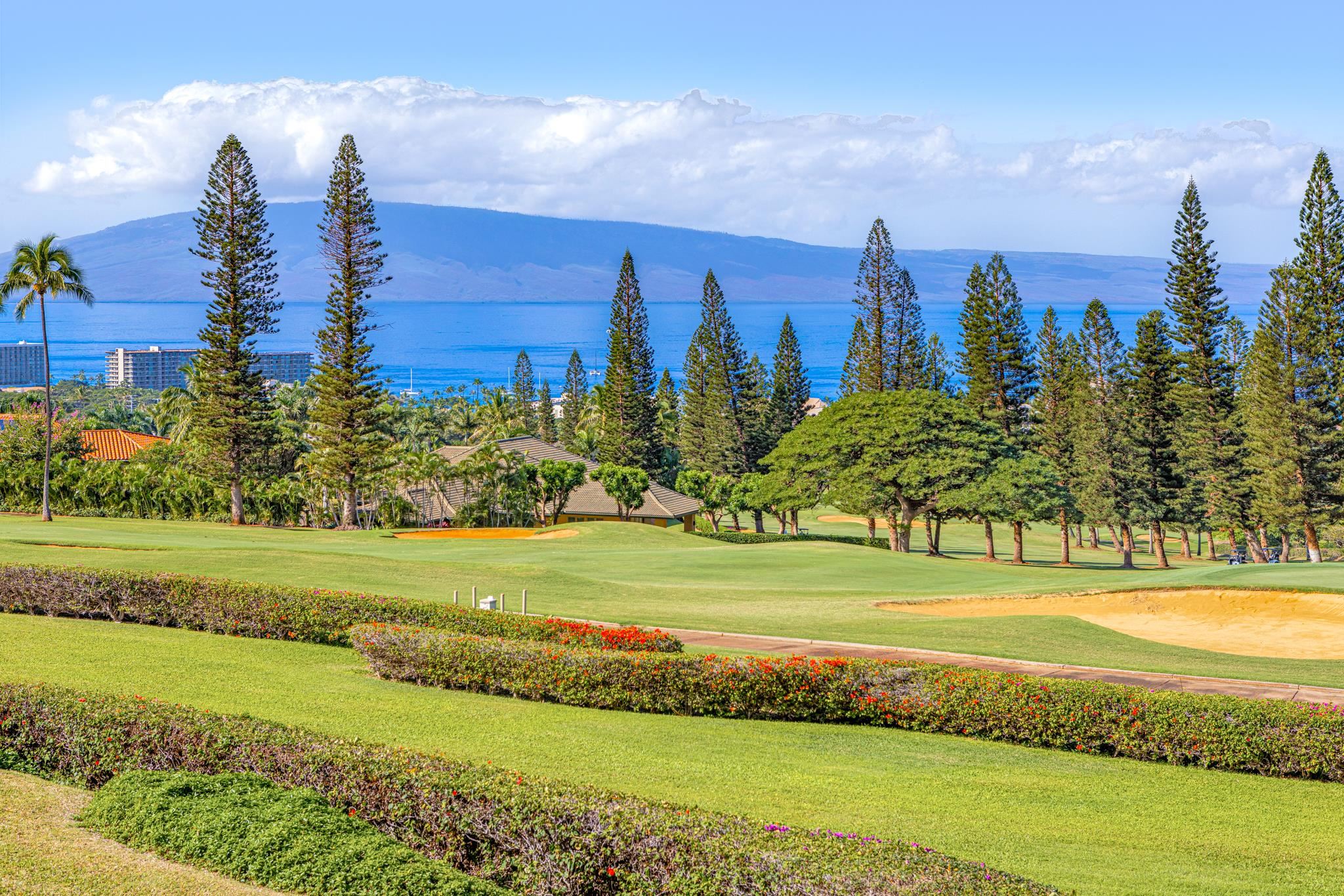 50 Puu Anoano St 2302