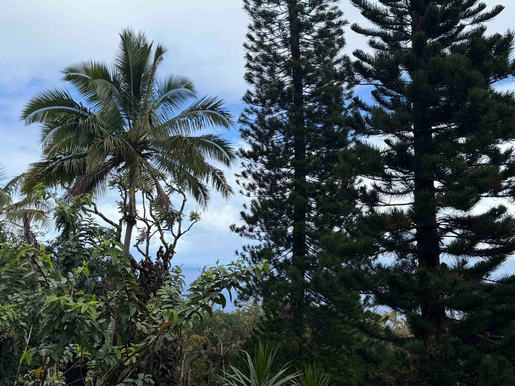 Photo of 105 Hana Hwy, Hana, HI 96713 (MLS # 401890)
