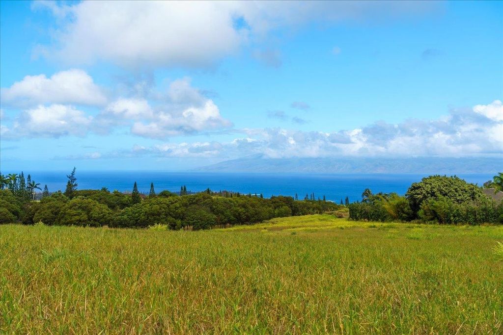 Photo of 214 Keoawa St #15, Lahaina, HI 96761 (MLS # 407338)