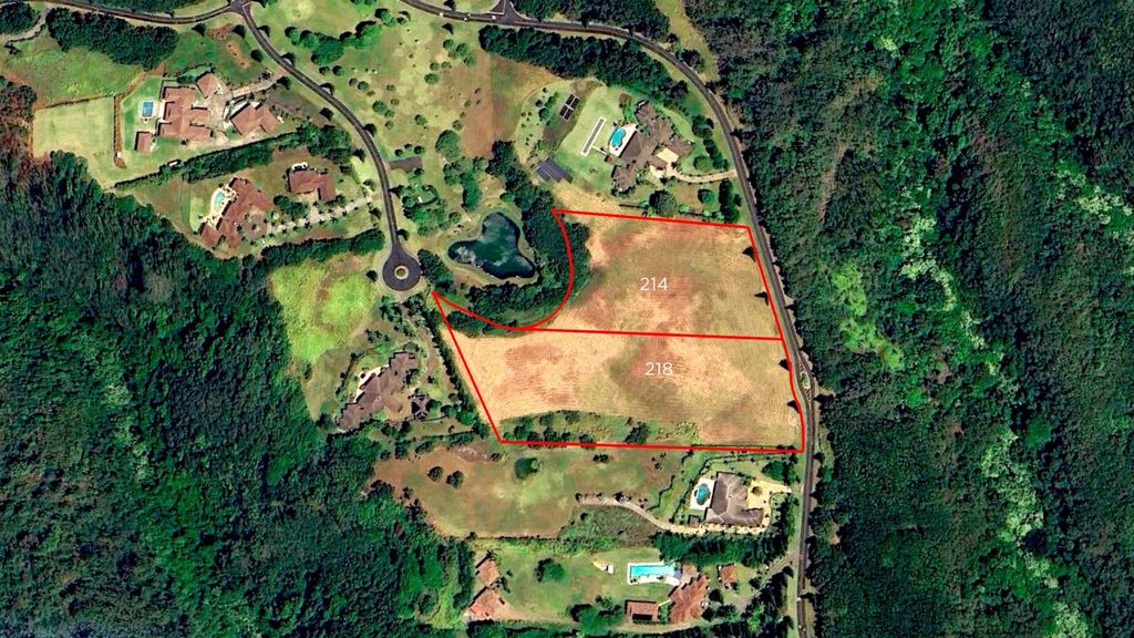 Photo of 214 Keoawa St #15, Lahaina, HI 96761 (MLS # 407338)