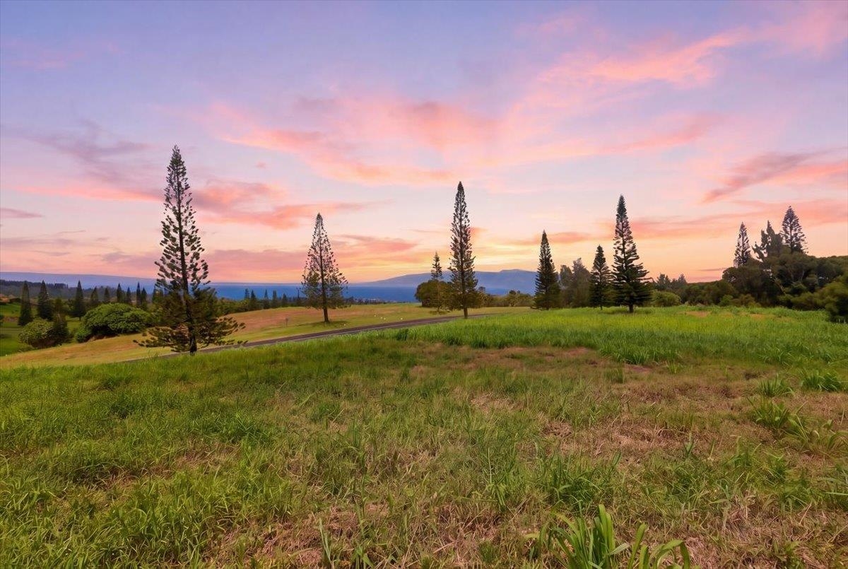 205 Keoawa St Lot 7