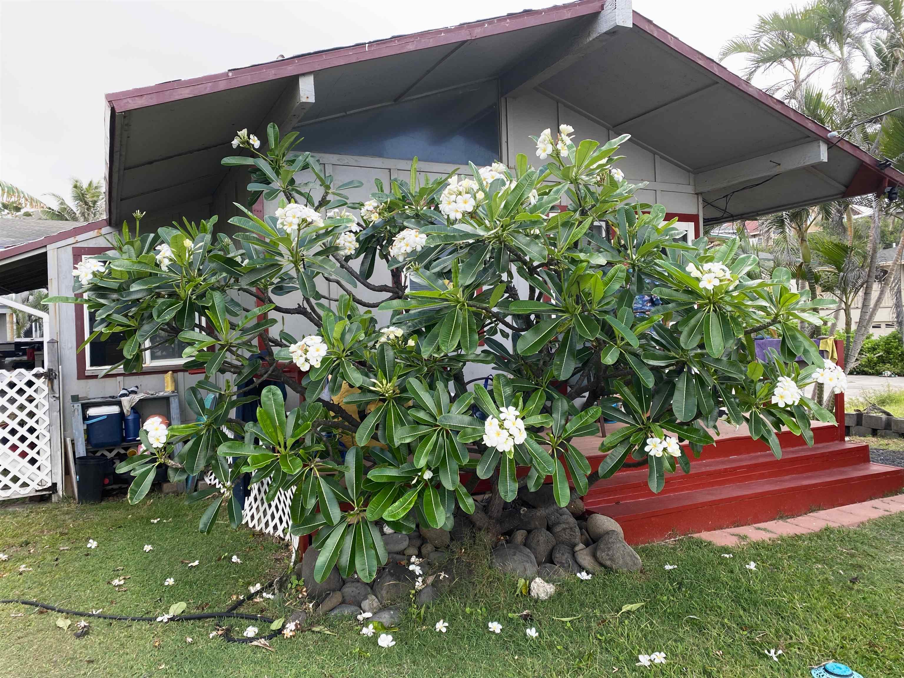 159 Lower Waiehu Beach Rd
