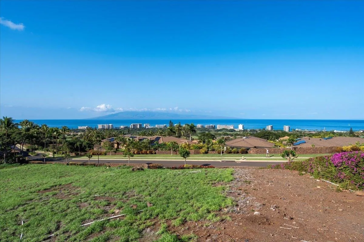 Lahaina, Hawaii 96761, United States, ,Land,Active,6742