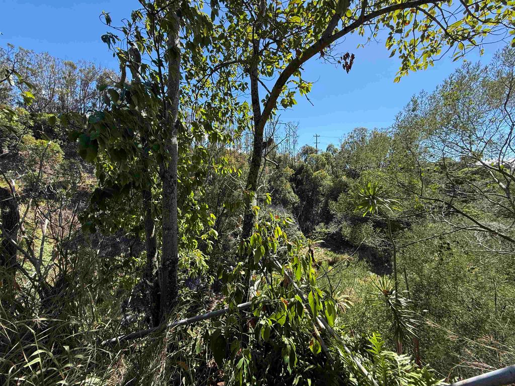 Photo of 1669 Makawao Ave, Makawao, HI 96768 (MLS # 406749)